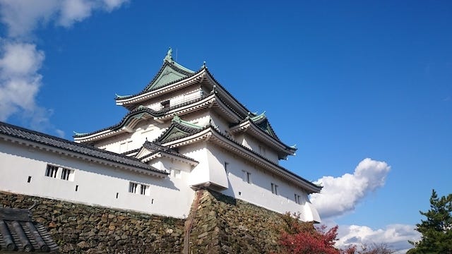 【和歌山】秋しかみられない絶景♡