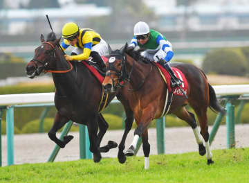 【チューリップ賞】メイケイエールが同着V「世代No．1」の地力 ...