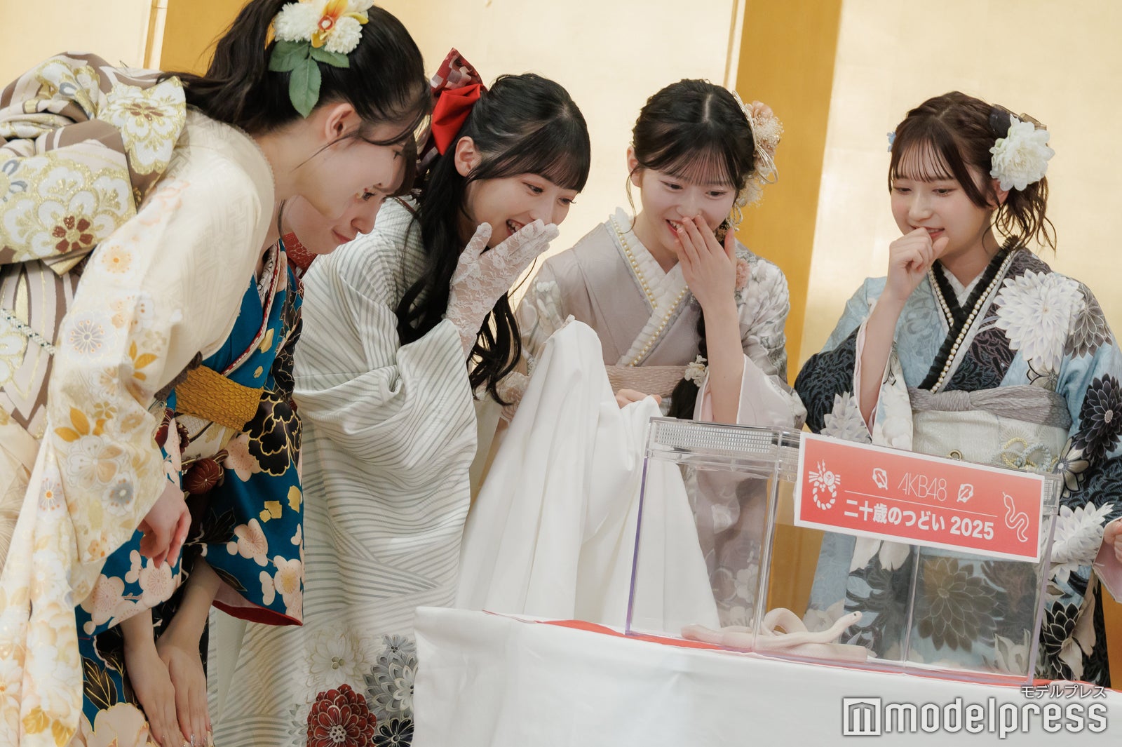 ハクさんに驚く正鋳真優、山崎空、佐藤綺星、八木愛月、鈴木くるみ（C）モデルプレス