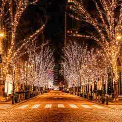 東京の冬の風物詩「丸の内イルミネーション2025」クリスマスマーケットやディズニー装飾も同時開催