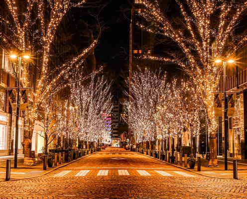 東京の冬の風物詩「丸の内イルミネーション2025」クリスマスマーケットやディズニー装飾も同時開催