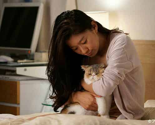 「オトナ女子」愛猫“ちくわ”ぶちゃかわで癒やされる 月9「5→9」キャストからも人気
