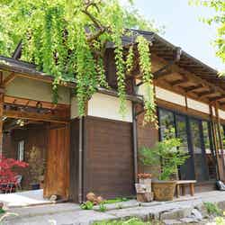 東京・檜原村に“1日1組限定”古民家宿「VILLA ONE-YA」誕生 サウナや犬との滞在も楽しめるヴィラ