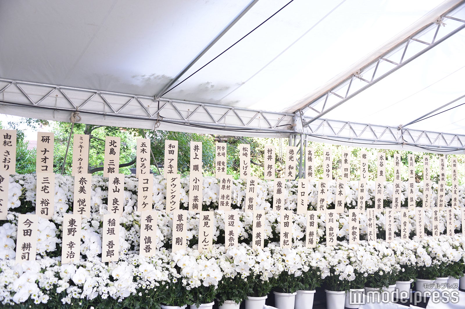 川村龍夫会長に贈られた供花（C）モデルプレス