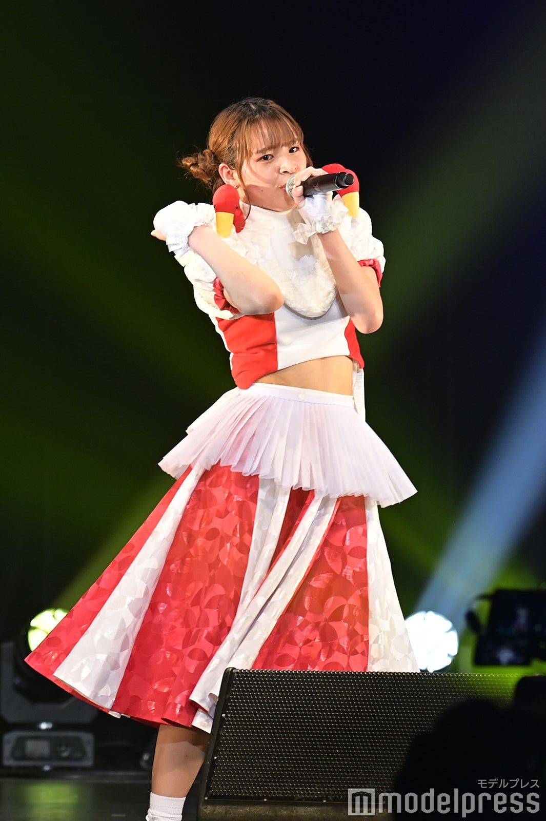 豆柴の大群（C）モデルプレス