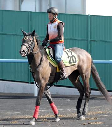 【新馬戦】トスカ 鞍上の小沢も上々の手応え 「これだけ動けていれば十分です」
