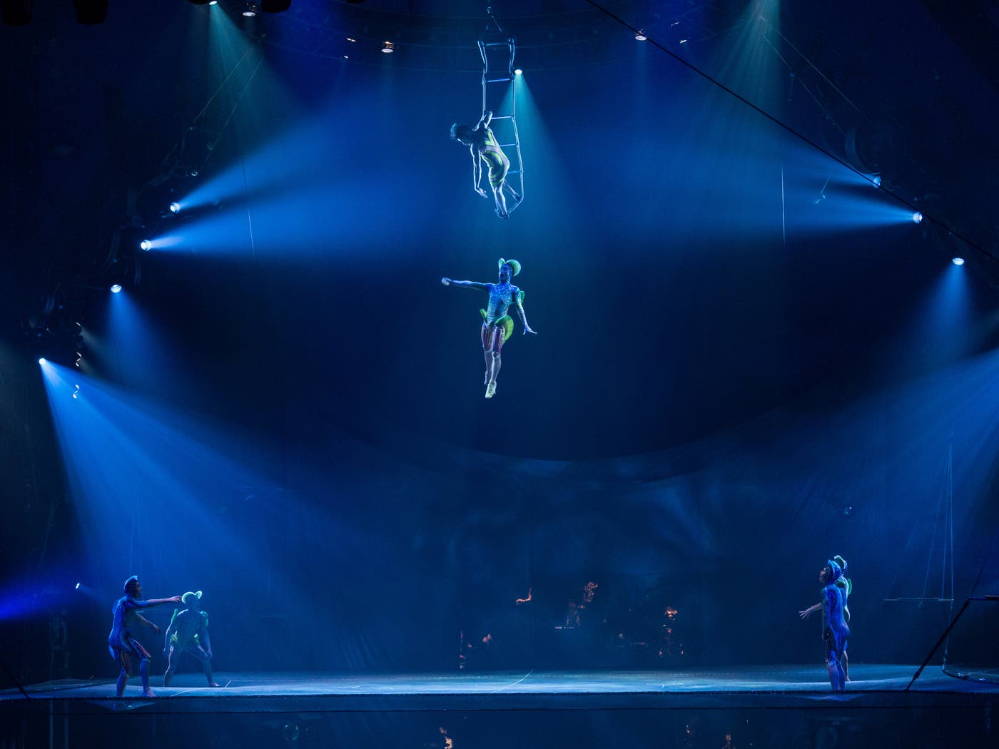 (※2)アクロネット