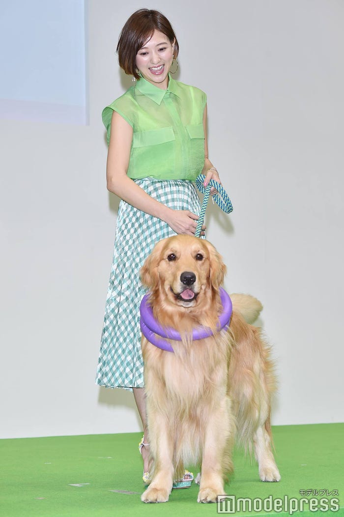 エルフ、伊藤千晃 (C)モデルプレス