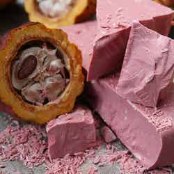 ruby_chocolate_with_cocoa ／画像提供：Barry Callebaut