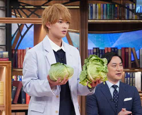 美 少年・浮所飛貴、春キャベツの見極めに挑戦 “キャベツウニ”試食も