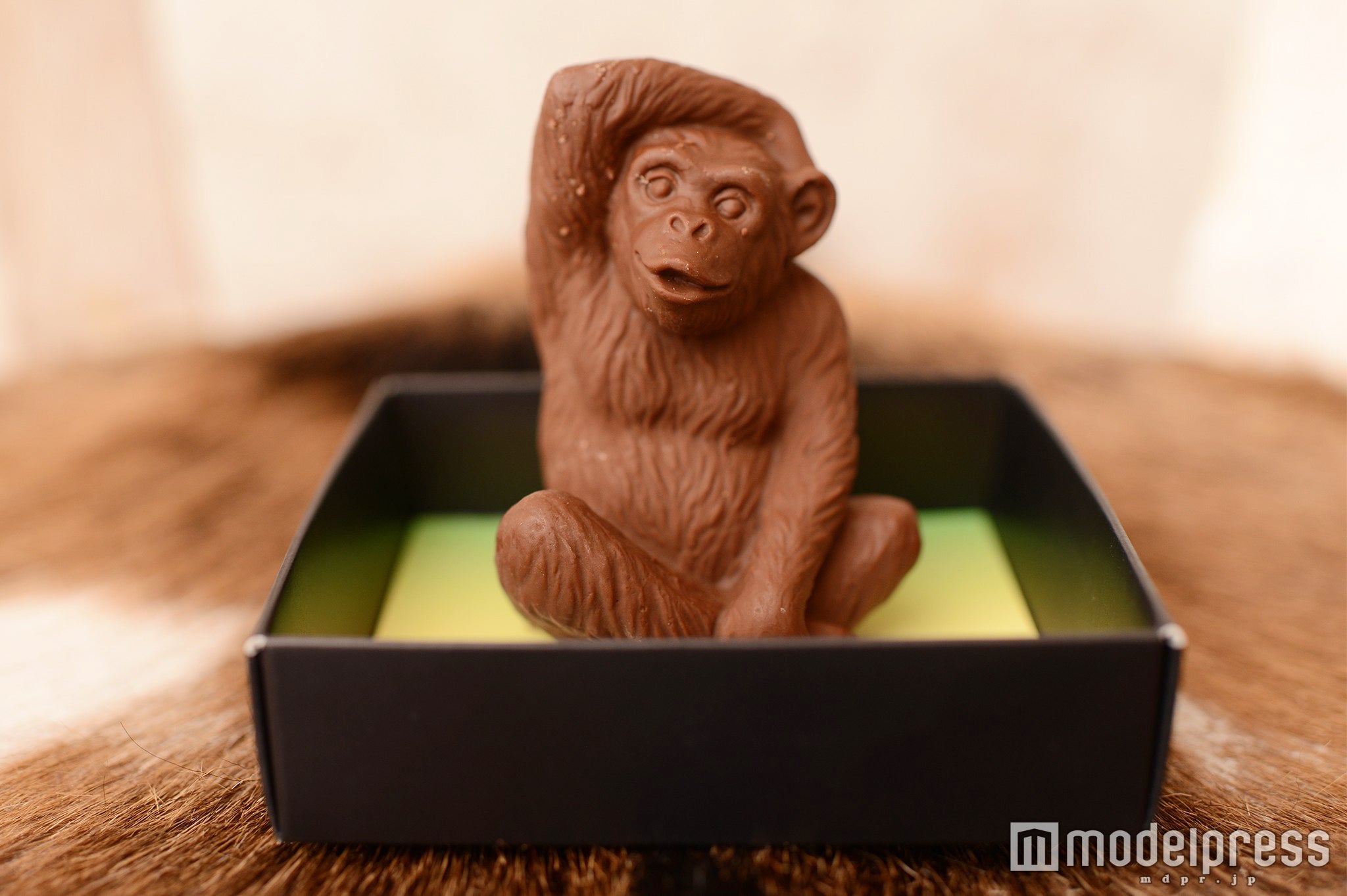 チンパンジーをリアルに再現（C）モデルプレス