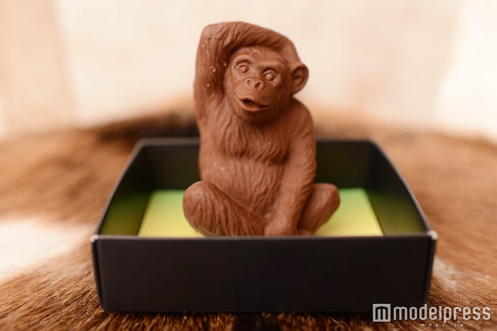 チンパンジーをリアルに再現(C)モデルプレス