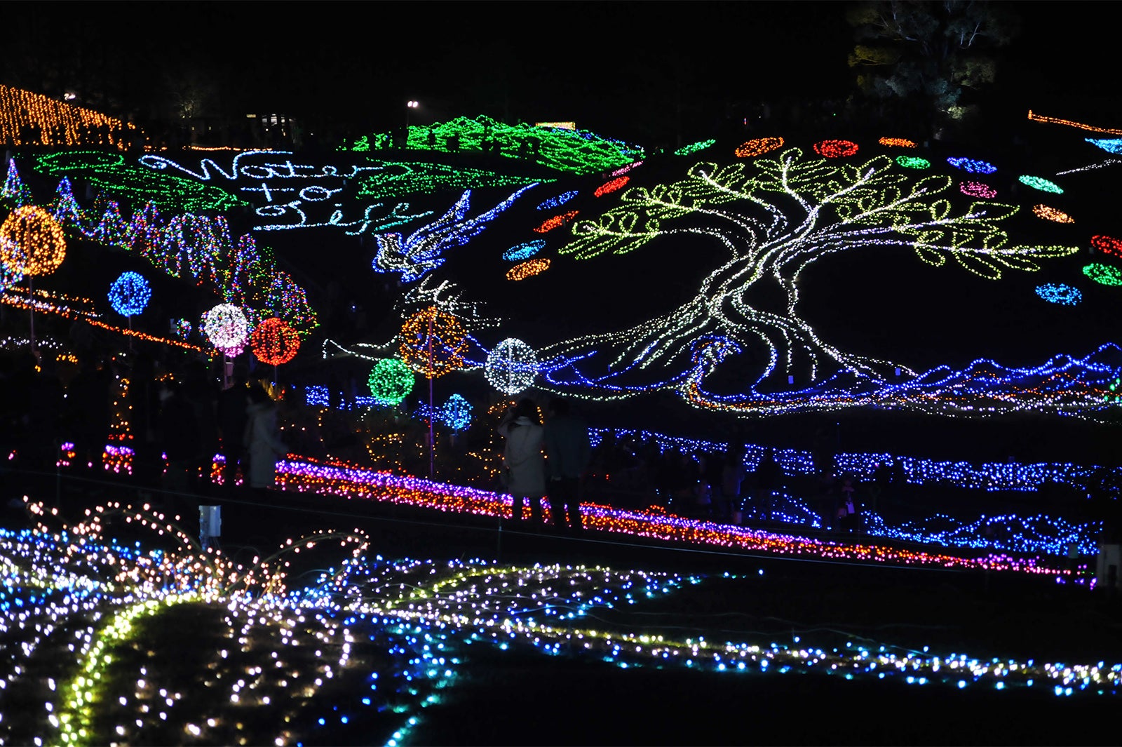 グラウンドイルミネーション／画像提供：国営讃岐まんのう公園