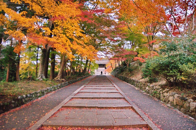 毘沙門堂／IMGP6903 by Kyoto-Picture