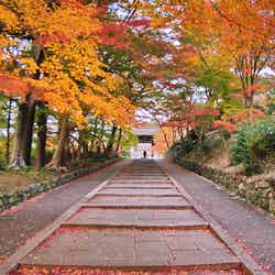 毘沙門堂/IMGP6903 by Kyoto-Picture