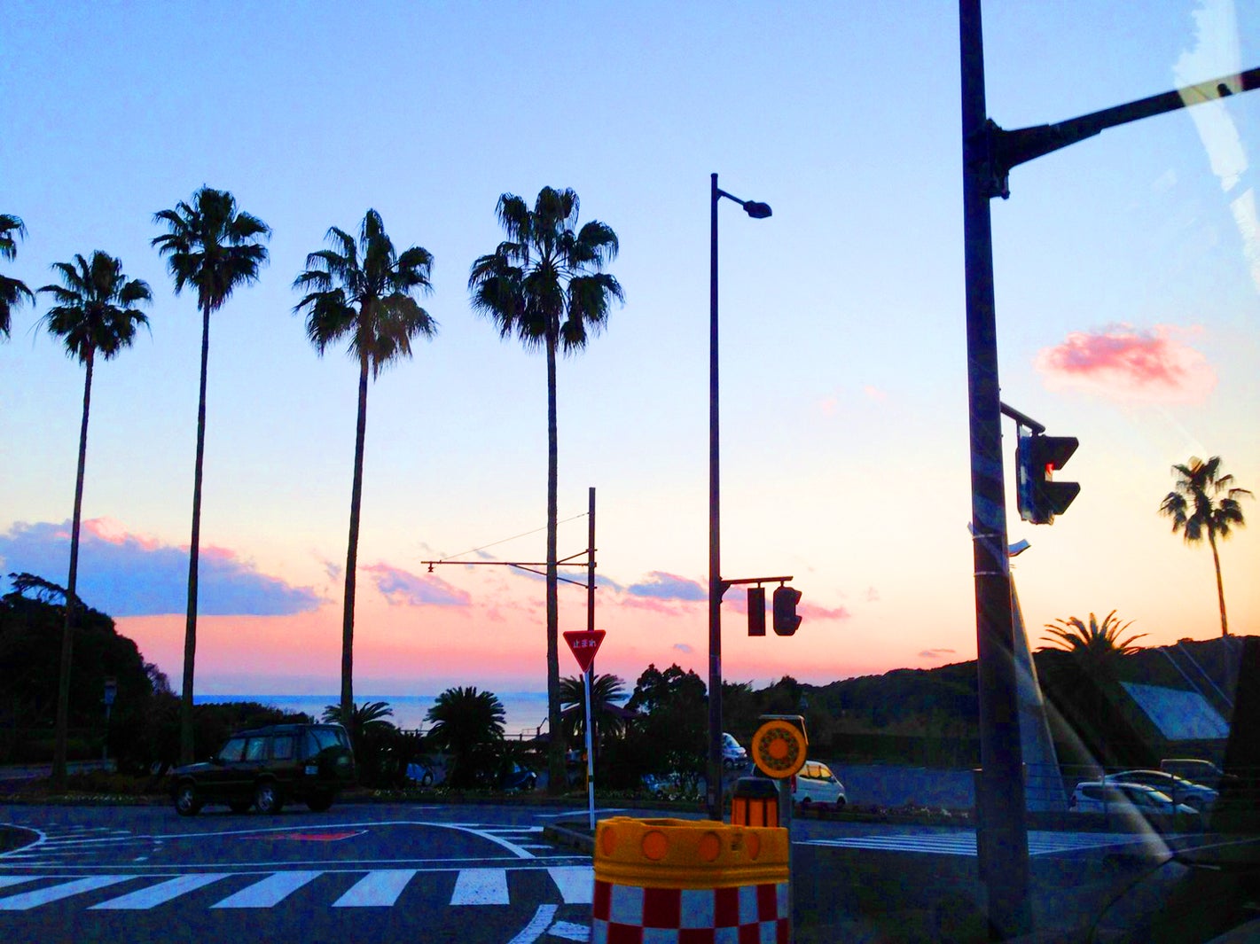 青島（提供写真）