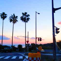 青島(提供写真)