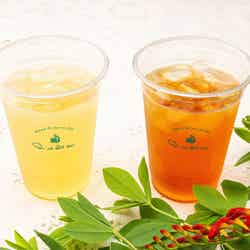 煎茶のエルブテ、紅茶のエルブテ 各648円/画像提供:キルフェボン