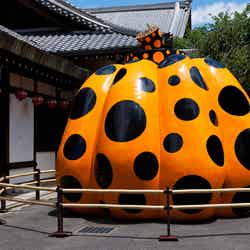 南瓜 2007年/画像提供:フォーエバー現代美術館 祇園・京都