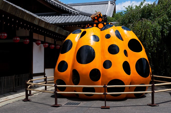 南瓜 2007年/画像提供:フォーエバー現代美術館 祇園・京都