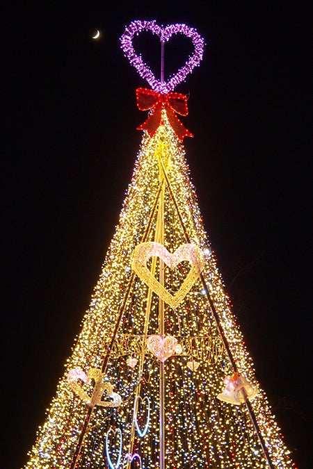 「小岩井ウインターイルミネーション 銀河農場の夜」／画像提供：小岩井農牧