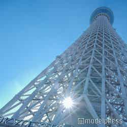 東京スカイツリー(C)モデルプレス