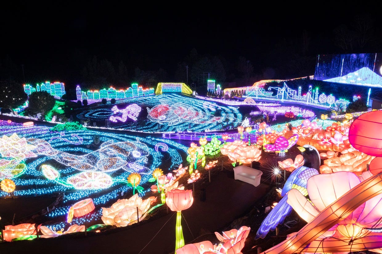 静岡「伊豆高原グランイルミ」壮大な光の世界でアトラクションやショー体験