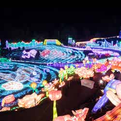 伊豆高原グランイルミ/画像提供:伊豆シャボテン公園