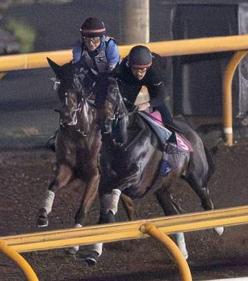 【セントウルS】ピューロマジック 重賞3連勝へ充実 最終追いは余力十分 安田師が手応え「これで課題克服できないなら仕方ない」