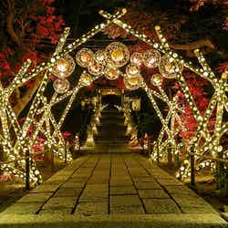 HANA・BIYORI/画像提供:よみうりランド