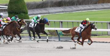 【新馬戦】ヴェントセラーレ 豪快突き抜け初陣飾る 津村が絶賛「反応がすごくて一気にのみ込んだ」心身ともに伸びしろ指摘も
