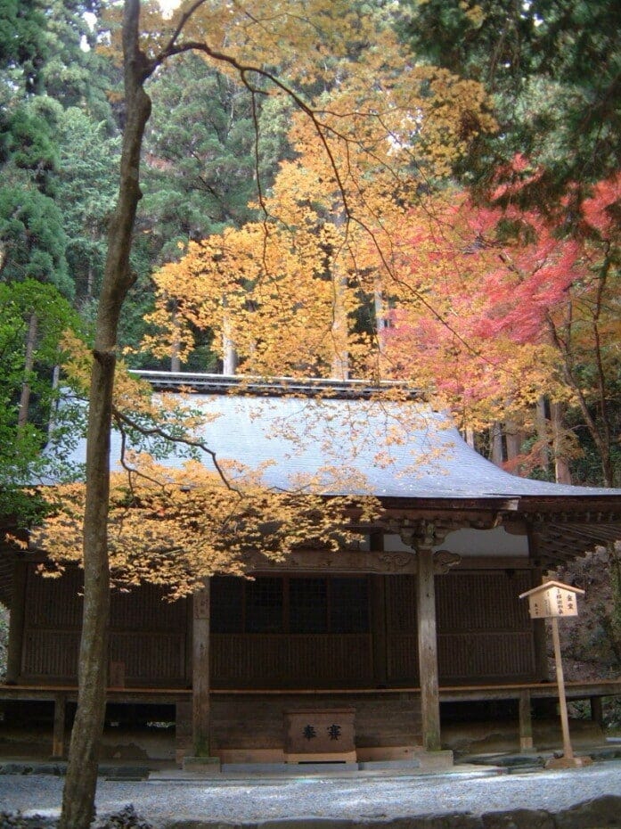 紅葉・黄葉に囲まれた高山寺の金堂（2002年11月22日撮影）