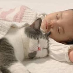 え、腕枕してる♡ 生後9カ月の赤ちゃんと見守り猫たちが超絶かわいい!