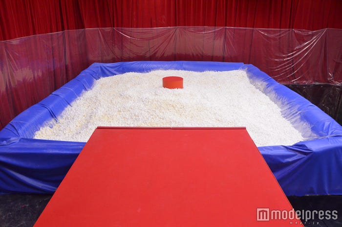 「浮き島飛び乗りバトル」の勝者はどちらに?/画像提供:日本テレビ