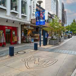 横浜18区で「若者が暮らしやすいと思う区」ランキング! 2位「西区」、1位は?【専門家の解説も】