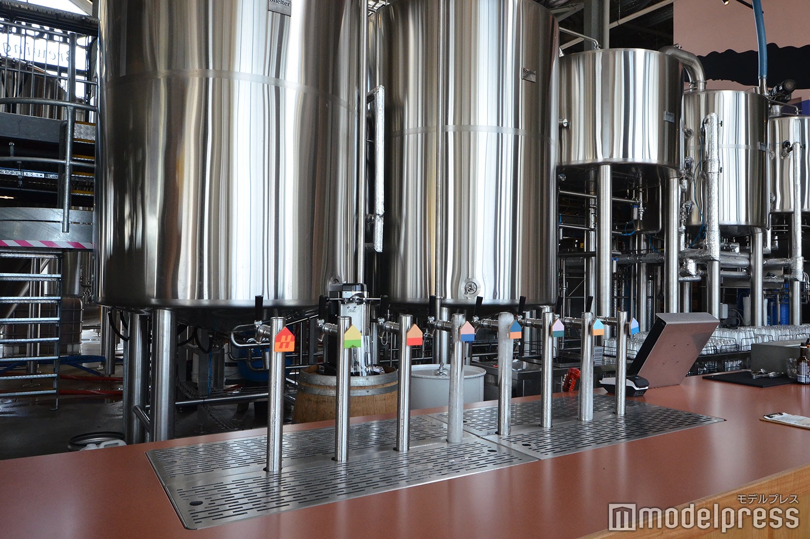 シェルター・ブリューイング（C）モデルプレス