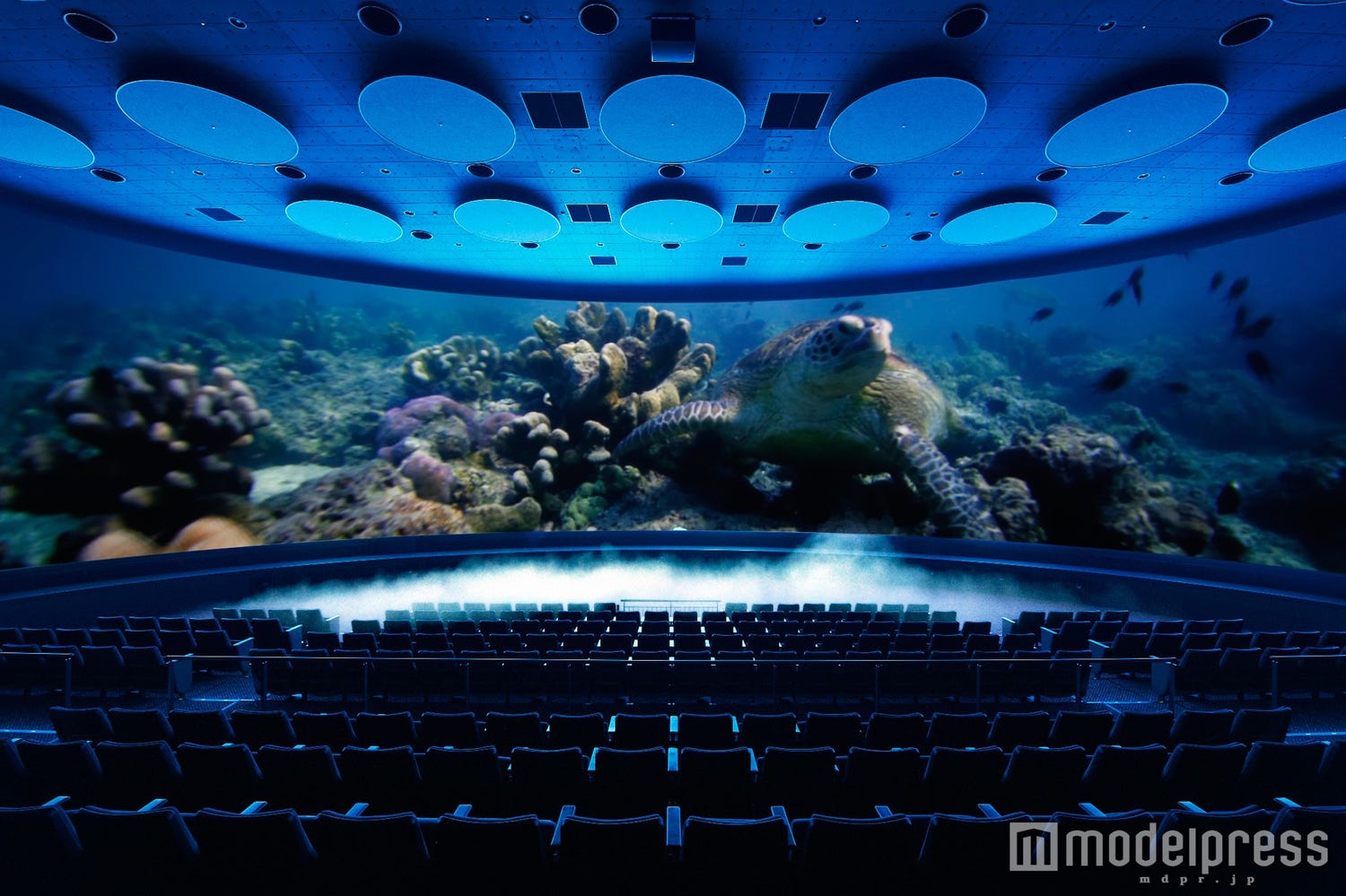 「オービィ大阪」エキスポシティ内にオープン 横浜に続き西日本初上陸