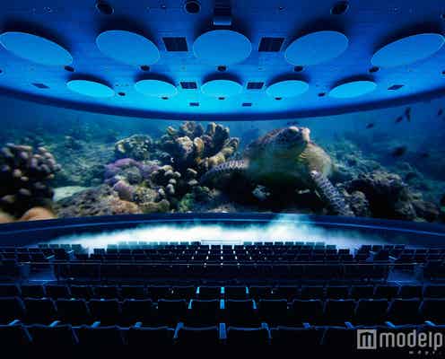 「オービィ大阪」エキスポシティ内にオープン 横浜に続き西日本初上陸