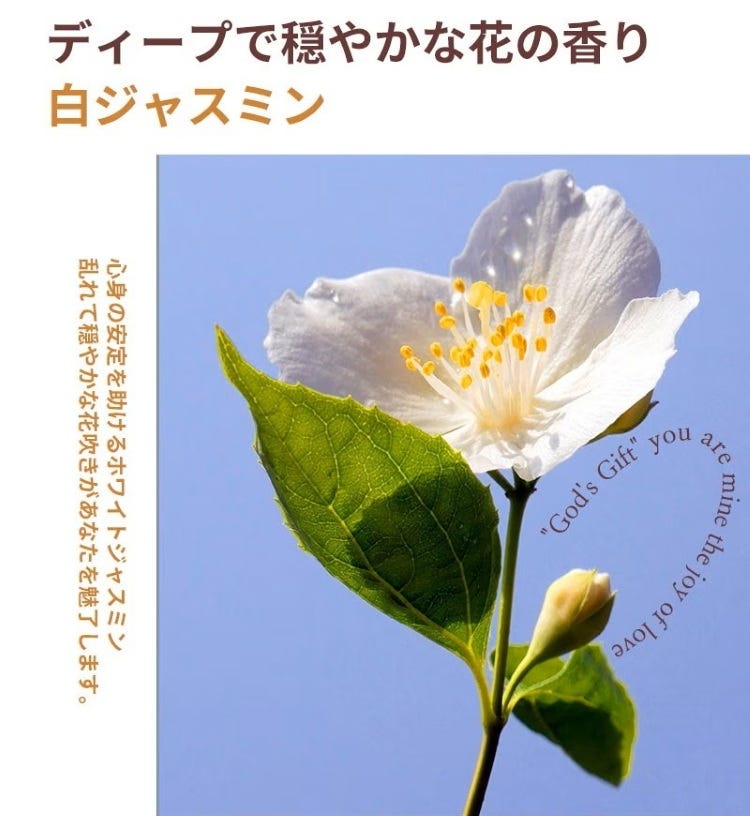 画像4: