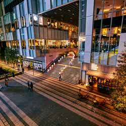 世界のランタンアーチ _ 光のメッセージ(C)渋谷ストリーム