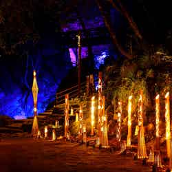 幽玄の竹あかり(提供画像)