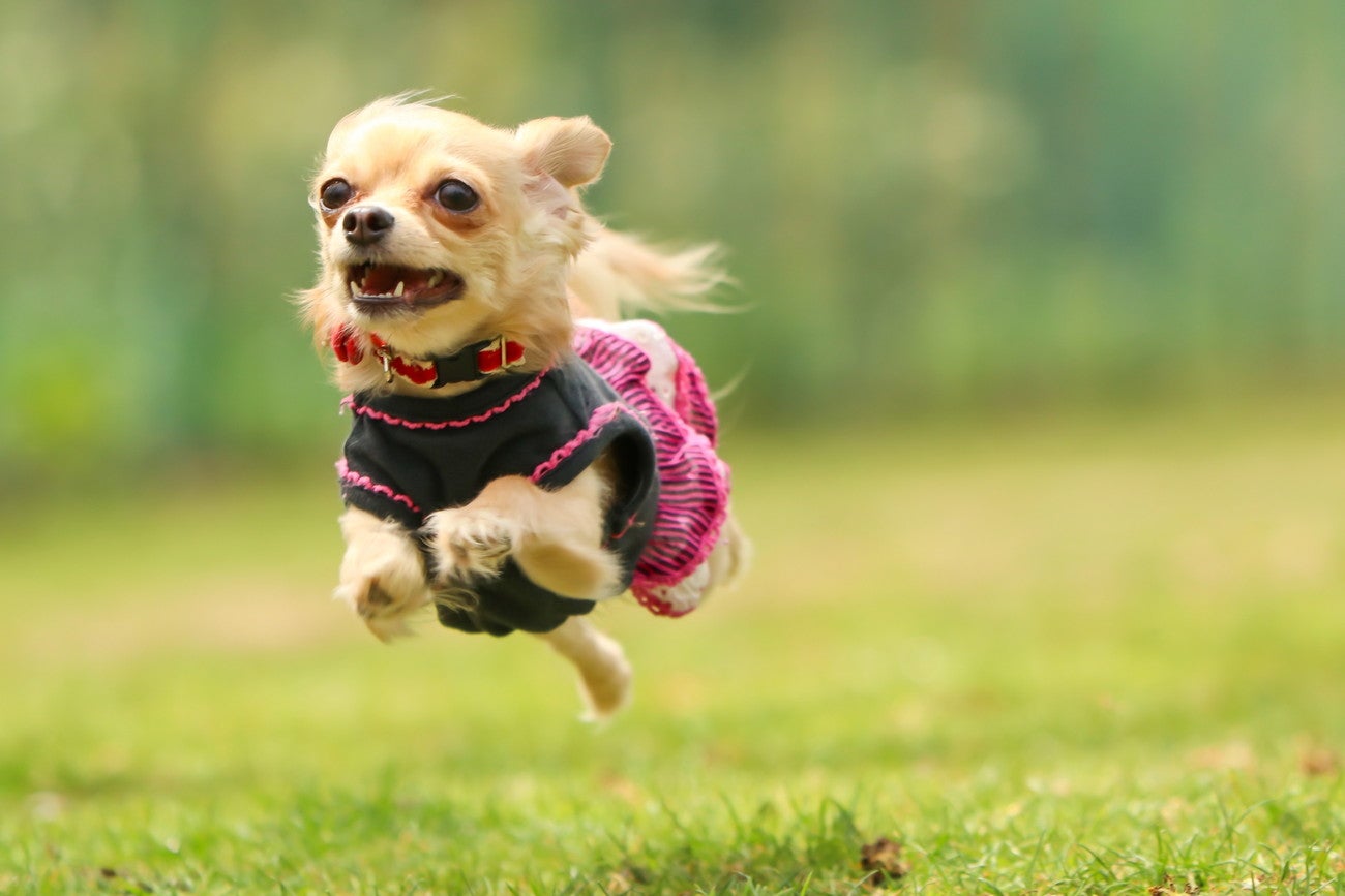 インザアウトドア白浜志原海岸／画像提供：OUTDOOR TRIP