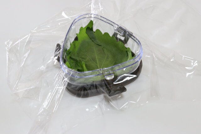 ダイソーのごちそうおにぎりケースでおにぎりを作る1