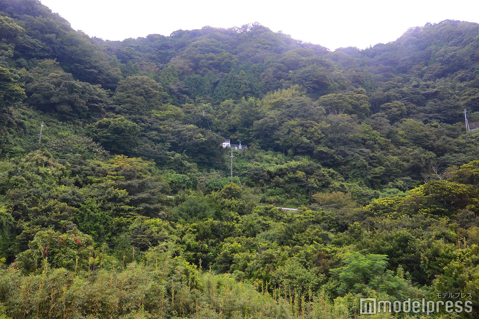 月と鮪 石上（C）モデルプレス