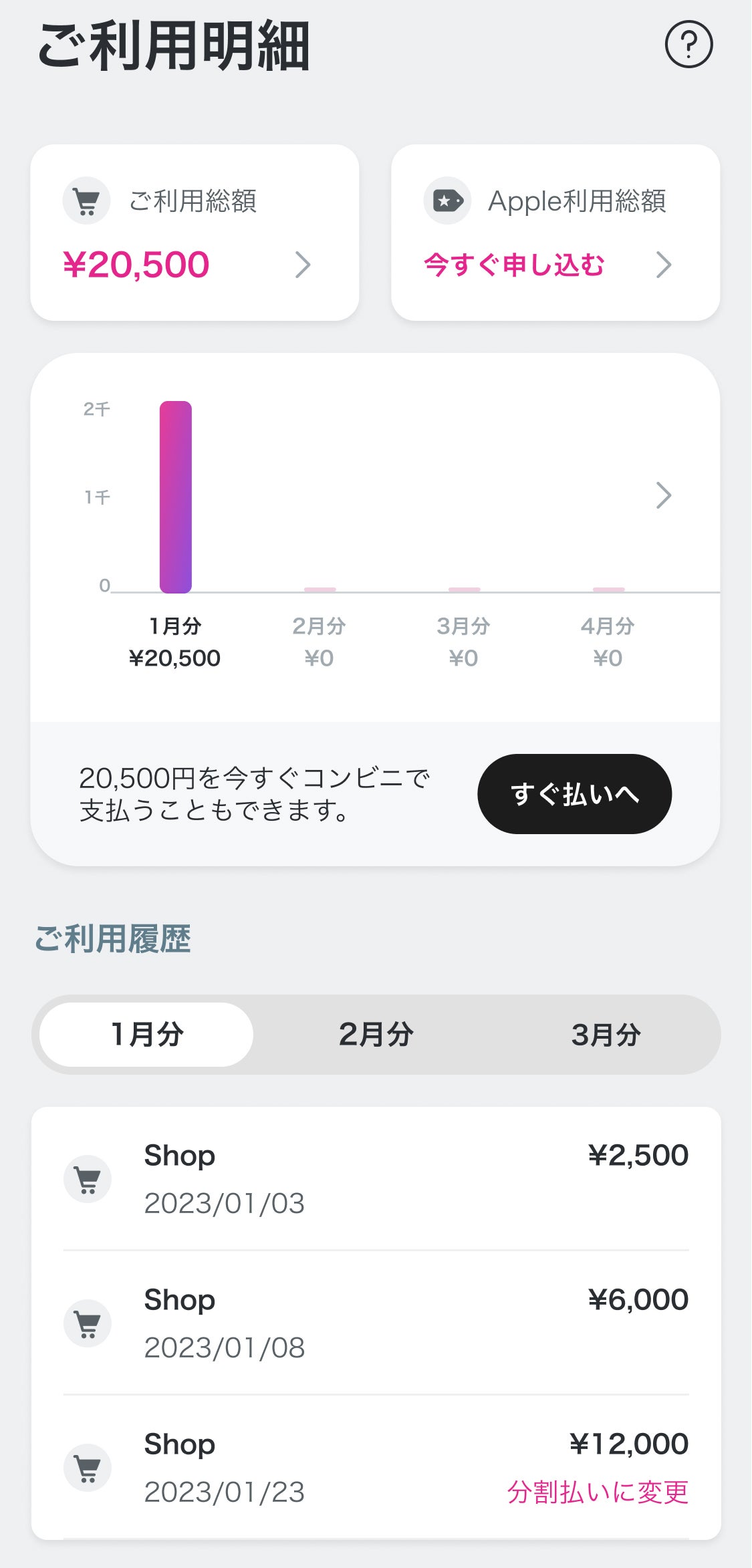 ペイディ（提供素材）