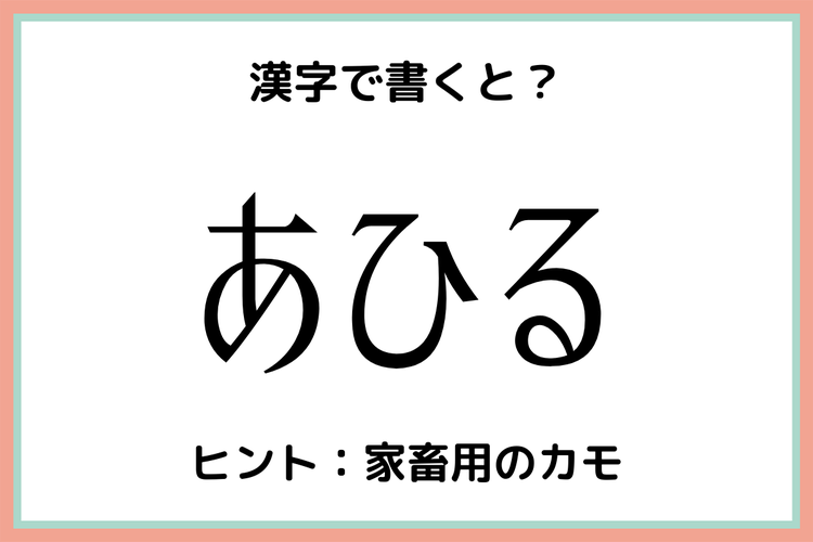 あひる ってどう書くの 意外と難しい 難読漢字 4選 モデルプレス
