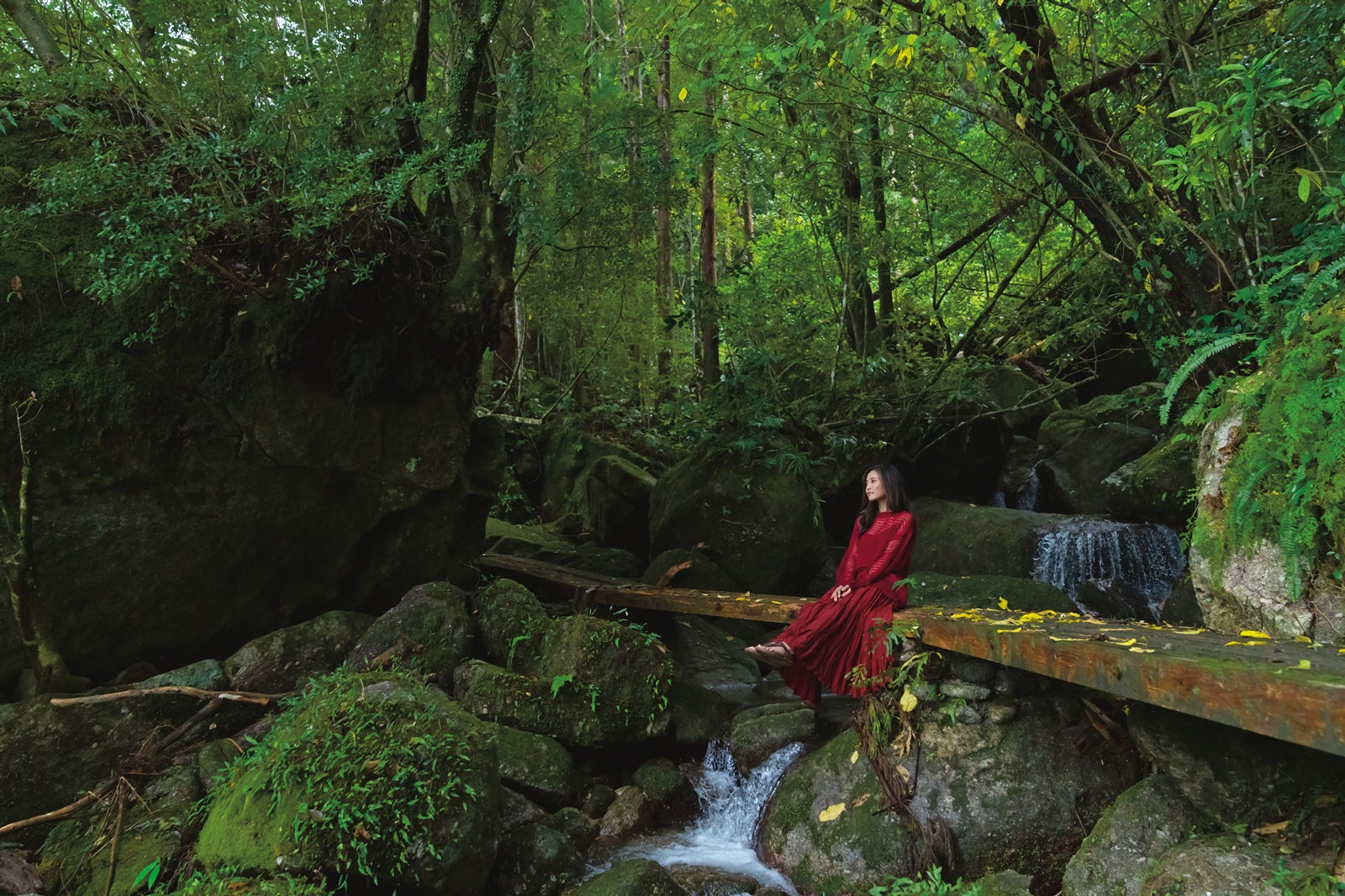 小島瑠璃子（C）唐木貴央／週刊プレイボーイ