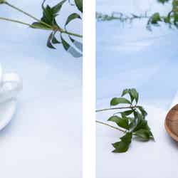 カフェラテ/ティーラテ税込880円、ホットティー税込550円(C)2022「すずめの戸締まり」製作委員会