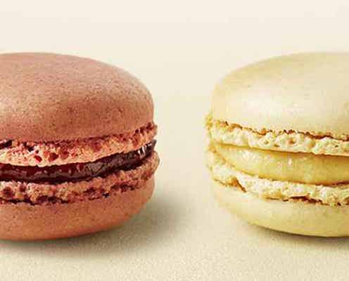 マックカフェ、フランス直輸入のマカロン4種が初登場 気分に合わせて好きな味をチョイス