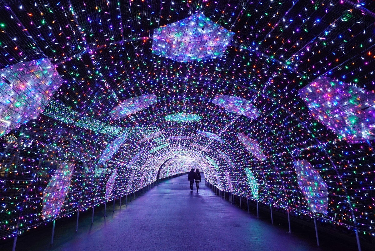 よみうりランド ジュエルミネーション（昨年の様子）／画像提供：よみうりランド